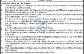 Jobs in Wildlife Department Peshawar 2022