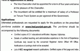 Jobs in The University of Punjab 2022