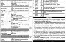 Vacancies at University of Education Lahore 2022