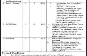 Quaid-E-Azam Medical College Bahawalpur Jobs 2022