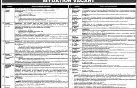 Planning & Development Department Sindh Jobs 2022