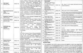 Jobs in University of Agriculture Faisalabad 2022