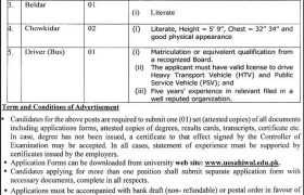 Jobs in University of Sahiwal 2022