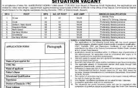 Jobs in Deputy Commissioner South Karachi 2022