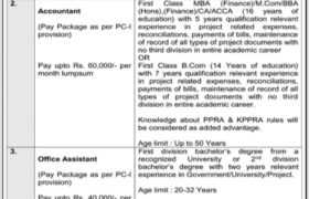Jobs in University of Agriculture Peshawar 2022