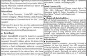 Jobs in Ministry of Information Technology 2022
