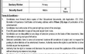 Jobs in Public Sector Organization Multan 2022