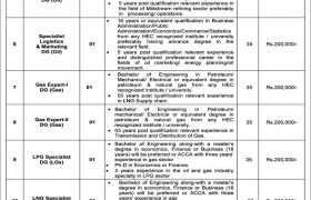 Jobs in Ministry of Energy Petroleum Division 2022