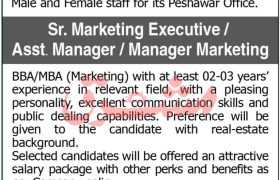 Jobs at Star Marketing Pvt Limited 2022