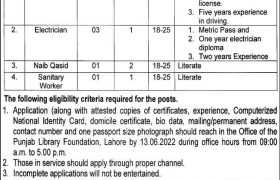 Jobs at Punjab Library Foundation 2022