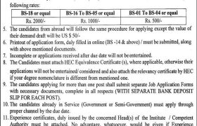 Jobs in GCWU Faisalabad 2022