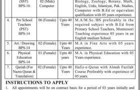 Jobs in SKK Public School Alipur 2022