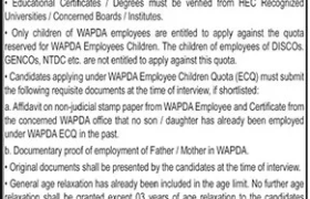 Audit Jobs in WAPDA 2022