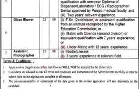 Positions at University of Punjab 2022