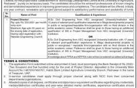 Position at University of Agriculture Peshawar 2022