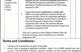 Positions at The Childrens Hospital Lahore 2022