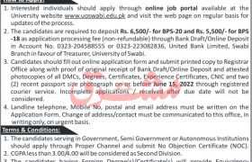 Staff Required at University of Swabi 2022