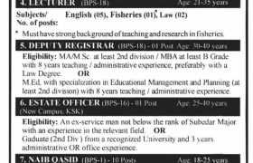 Jobs at GC University Lahore 2022