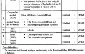 Jobs at Population Welfare Department Faisalabad 2022