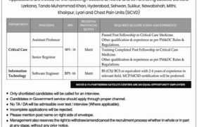 NICVD Sindh Careers 2022