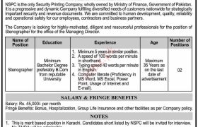 Jobs at NSPC Karachi 2022