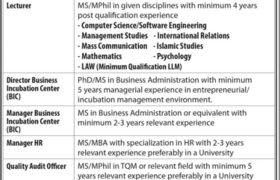 Jobs at The University of Faisalabad 2022