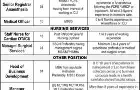 Jobs at Hameed Latif Hospital Lahore 2022
