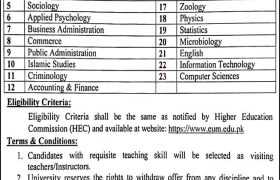 Jobs at Emerson University Multan 2022