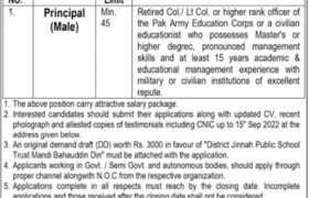 District Jinnah Public School & College Jobs 2022