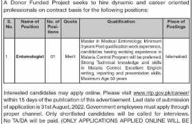 Project Jobs in Islamabad 2022