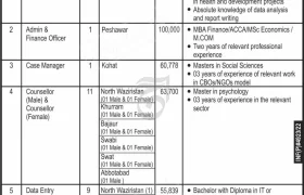 Jobs at KPK Public Sector Department 2022