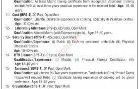 Jobs at University of AJK Muzaffarabad 2022