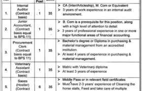 Jobs at Cadet College Hassanabdal 2022