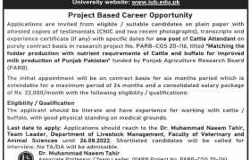 Jobs at Islamia University of Bahawalpur 2022