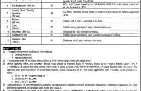 Jobs at UHS Lahore 2022
