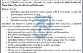 Jobs at Govt Degree College Peshawar 2022