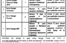 Jobs at C&W Department Punjab 2022