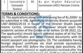 Jobs at University of Peshawar 2022