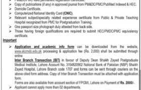 Jobs at SZFPMI Lahore 2022