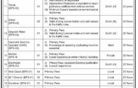Jobs at Pakistan Marine Academy Karachi 2022