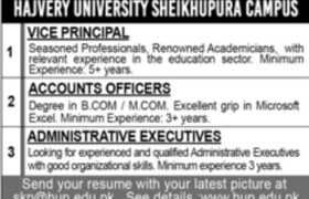 Jobs at Hajvery University Sheikhupura 2022