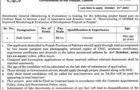 Jobs at Planning & Development Board Punjab 2022