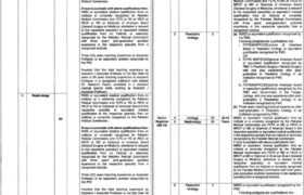 Institute of Urology & Transplant Rawalpindi Jobs 2022