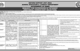 Jobs at Reform Support Unit Sindh 2022