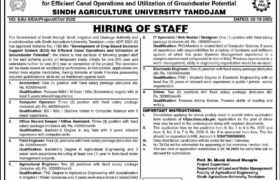 Sindh Agricultural University Tando Jam Jobs 2022