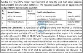Careers at University of Peshawar 2022