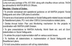 Jobs at WAPDA Lahore & Islamabad 2022
