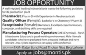 Jobs at Montis Pvt Ltd 2022
