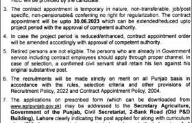 Jobs at Agriculture Department Punjab 2022