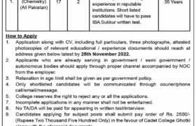 Jobs at Cadet College Ghotki Sindh 2022